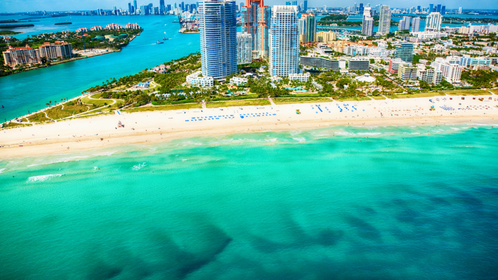 Commercial Real Estate Services in Fort Lauderdale